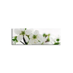 Reproduktsioon Valged kirsiõied hind ja info | Seinapildid | kaup24.ee
