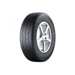 GISLAVED Euro Frost 6 205/60R16 96H XL hind ja info | Talverehvid | kaup24.ee