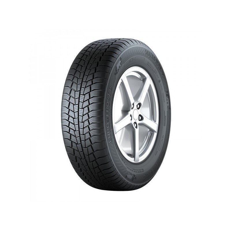 GISLAVED Euro Frost 6 205/60R16 96H XL цена и информация | Talverehvid | kaup24.ee