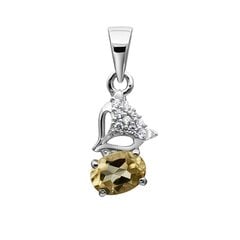 Серебряный (925) кулон с драгоценными камнями, код AVP614166-3 цена и информация | Украшения на шею | kaup24.ee