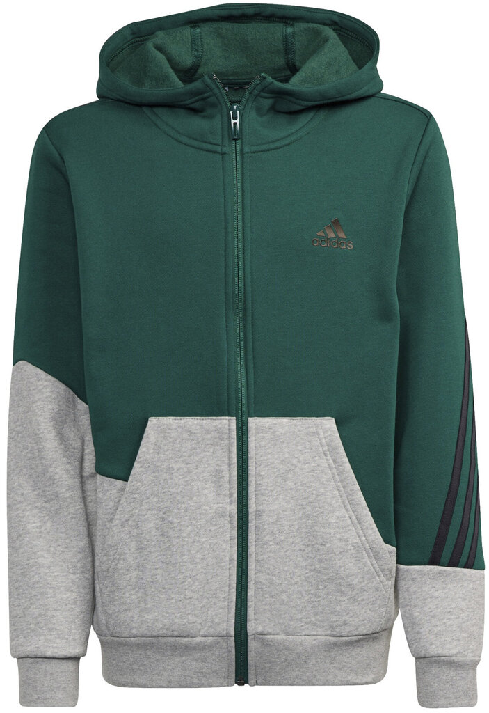 Adidas Spordikostüümid B Winter Ts Grey Green GT6968/110 hind ja info | Komplektid poistele | kaup24.ee