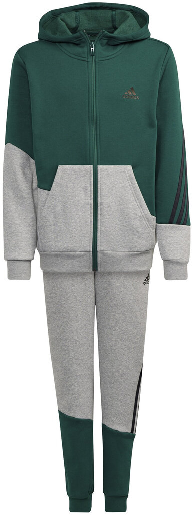 Adidas Spordikostüümid B Winter Ts Grey Green GT6968/110 hind ja info | Komplektid poistele | kaup24.ee
