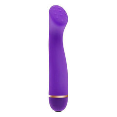 Vibraator S Pleasures Gentle Lillla hind ja info | Vibraatorid | kaup24.ee