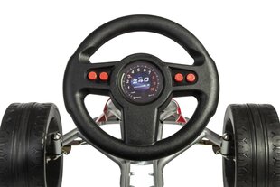 Pedaalidega kardisõit Ferbedo GoKart X-Racer 104000 hind ja info | Poiste mänguasjad | kaup24.ee