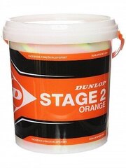 Välitennise pallid Dunlop Stage 2 Orange, 60 tk цена и информация | Товары для большого тенниса | kaup24.ee