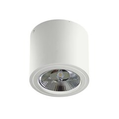 Sisseehitatud valgusti Azzardo Alix AZ3541 hind ja info | Süvistatavad ja LED valgustid | kaup24.ee