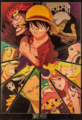 Плакат One piece цена и информация | Атрибутика для игроков | kaup24.ee