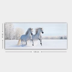 Репродукция Белые лошади цена и информация | Картины, живопись | kaup24.ee