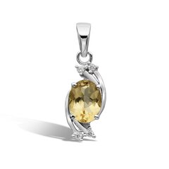 Серебряный (925) кулон с драгоценными камнями, код avp614595-3 AVP614595-3 цена и информация | Украшение на шею | kaup24.ee