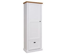 Esikukapp ADRK Furniture GAL PO6, valge/pruun hind ja info | Esikukapid | kaup24.ee