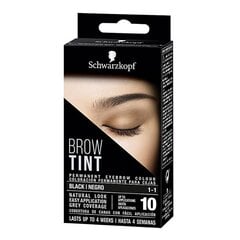 Перманентная краска для бровей Schwarzkopf Tint Black цена и информация | Карандаши, краска для бровей | kaup24.ee