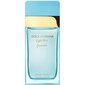 Parfüüm Dolce & Gabbana Ladies Light Blue Forever EDP naistele, 100 ml hind ja info | Meeste parfüümid | kaup24.ee