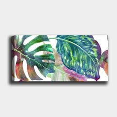 Reproduktsioon lõuendil Monstera, 30x80 cm hind ja info | Seinapildid | kaup24.ee