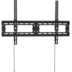 ECG LD 326501 (32-65 inch) TV mounting frame цена и информация | Кронштейны и крепления для телевизоров | kaup24.ee