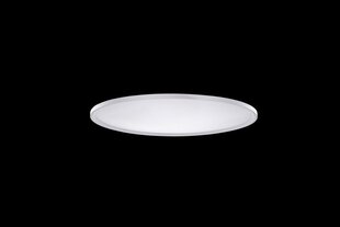 Azzardo потолочный светильник Cream Smart 40 Top AZ3534 цена и информация | Потолочные светильники | kaup24.ee