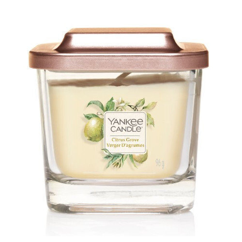 Lõhnaküünal Yankee Candle Citrus Grove 96 g цена и информация | Küünlad, küünlajalad | kaup24.ee