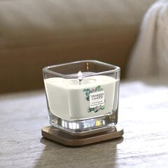 Ароматическая свеча Yankee Candle Exotic Bergamot 96 г цена и информация | Подсвечники, свечи | kaup24.ee