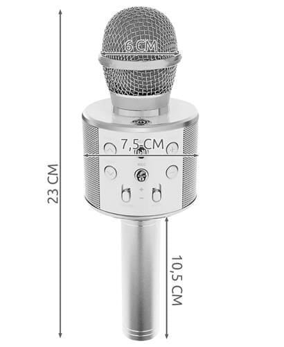 Karaoke mikrofon - kõlar, häält muutvate efektidega WS-858 цена и информация | Arendavad mänguasjad | kaup24.ee