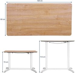 Письменный стол Songmics 120х60 см, коричневый/белый цена и информация | Компьютерные, письменные столы | kaup24.ee