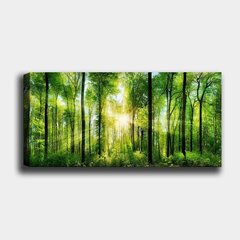 Reproduktsioon lõuendil Mets, 50x120 cm цена и информация | Картины, живопись | kaup24.ee