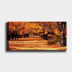 Репродукция на холсте Парк, 50x120 см цена и информация | Картины, живопись | kaup24.ee