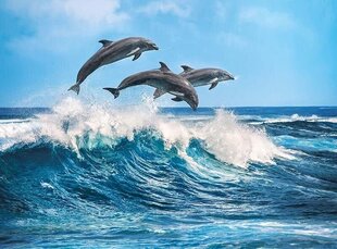 Pusle Clementoni Sukelduvad delfiinid, 500 tk hind ja info | Pusled | kaup24.ee