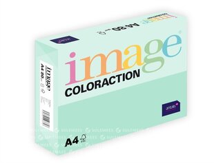 Värviline paber Image Coloraction Forest, 80g/m2, A4, 500 lehte, roheline hind ja info | Vihikud, märkmikud ja paberikaubad | kaup24.ee