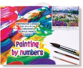 Acrylic paints hind ja info | Maalid numbri järgi | kaup24.ee