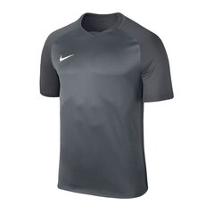 Poiste spordisärk Nike Dry Trophy III JR 881484-065, 49770 цена и информация | Рубашки для мальчиков | kaup24.ee