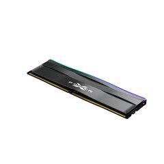 Silicon Power SP008GXLZU320BSD цена и информация | Оперативная память (RAM) | kaup24.ee