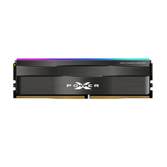 Silicon Power SP008GXLZU320BSD цена и информация | Оперативная память (RAM) | kaup24.ee