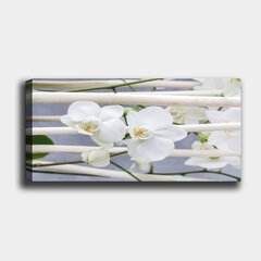 Репродукция на холсте Орхидеи, 50x120 см цена и информация | Картины, живопись | kaup24.ee