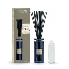 Kodulõhnastaja ESTEBAN "ESPIRIT DE THE" 75 ml hind ja info | Kodulõhnastajad | kaup24.ee