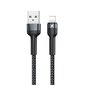 Remax USB - Lightning cable charging data transfer 2,4 A, 1 m цена и информация | Mobiiltelefonide kaablid | kaup24.ee