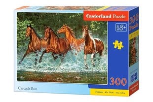 Puzzle 300 Cascade Run 030361 hind ja info | Pusled | kaup24.ee