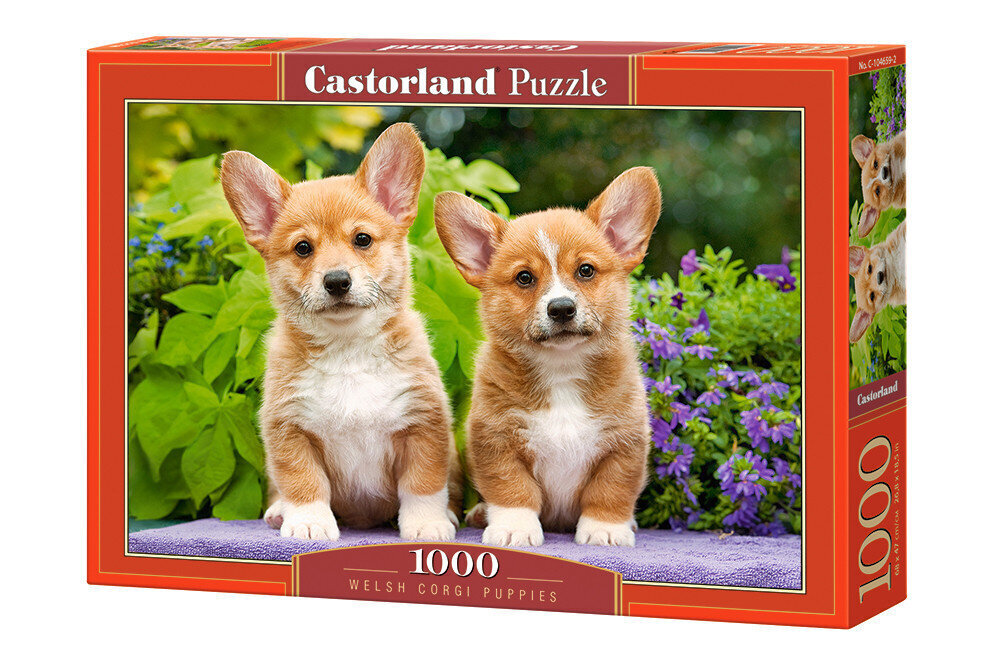 Puzzle 1000 WELSH CORGI PUPPIES 104659 цена и информация | Pusled | kaup24.ee