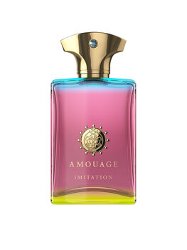 Amouage Imitation For Men EDP meestele 100 ml hind ja info | Meeste parfüümid | kaup24.ee