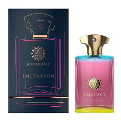 Amouage Imitation For Men EDP meestele 100 ml hind ja info | Amouage Kosmeetika, parfüümid | kaup24.ee