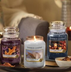 Ароматическая свеча Yankee Candle Autumn Pearl 104 г цена и информация | Подсвечники, свечи | kaup24.ee