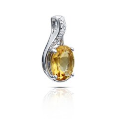 Серебряный (925) кулон с драгоценными камнями цена и информация | Украшение на шею | kaup24.ee