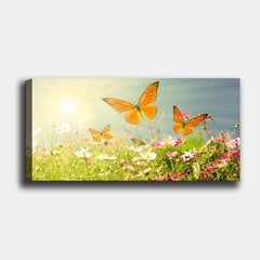 Репродукция на холсте Луг c бабочками, 30x80 см цена и информация | Картины, живопись | kaup24.ee