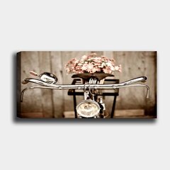 Репродукция на холсте Велосипед, 30x80 см цена и информация | Картины, живопись | kaup24.ee