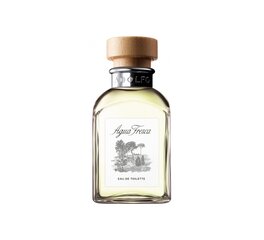 Tualettvesi Adolfo Dominguez Agua Fresca EDT meestele, 60 ml hind ja info | Meeste parfüümid | kaup24.ee