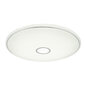 Laevalgusti Globo Lighting Connor G41386-80 цена и информация | Laelambid | kaup24.ee