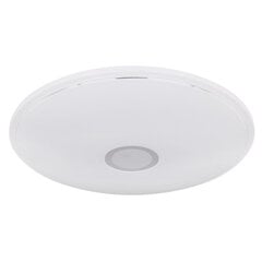 Потолочный светильник Globo Lighting Connor G41386-30SH цена и информация | Потолочные светильники | kaup24.ee