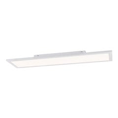 Потолочный светильник Globo Lighting Rosi G41604D4F цена и информация | Потолочные светильники | kaup24.ee