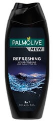 Dušigeel Palmolive Men Refreshing meestele, 500 ml hind ja info | Dušigeelid, õlid | kaup24.ee