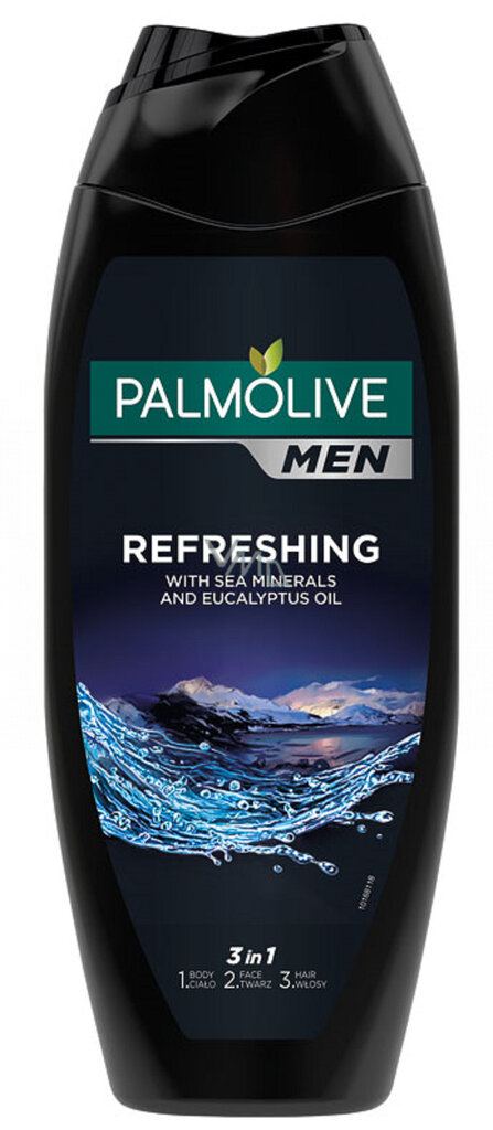 Dušigeel Palmolive Men Refreshing meestele, 500 ml цена и информация | Dušigeelid, õlid | kaup24.ee