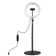 LED rõngaslamp 26cm, koos alusega 25,5-140,7cm, USB hind ja info | Fotovalgustuse seadmed | kaup24.ee