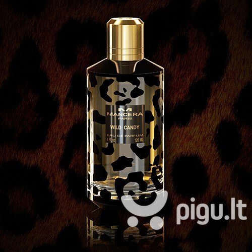 Lõhnavesi unisex Mancera Wild Candy EDP 120 ml цена и информация | Naiste parfüümid | kaup24.ee